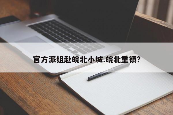 官方派组赴皖北小城.皖北重镇?
